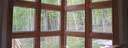 Interior Windows
